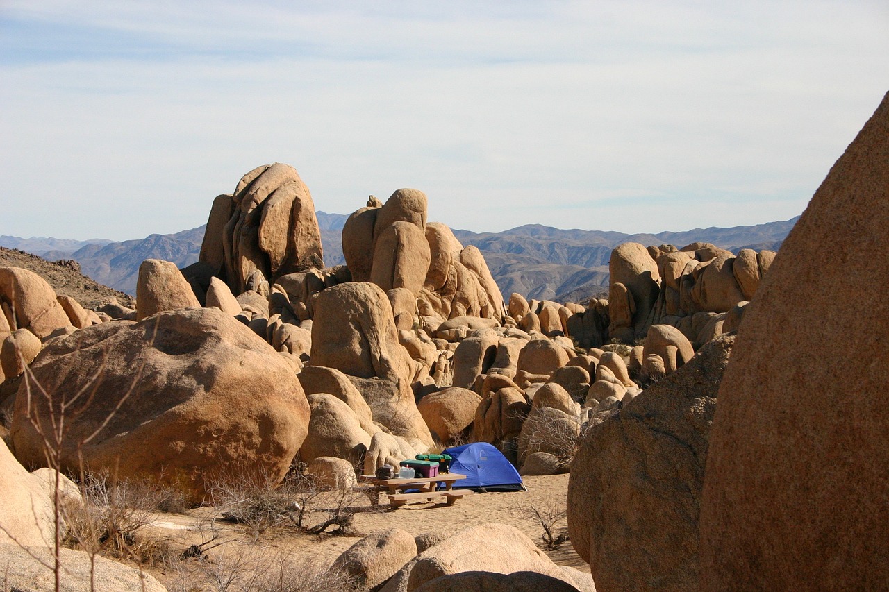 Joshua Tree National Park