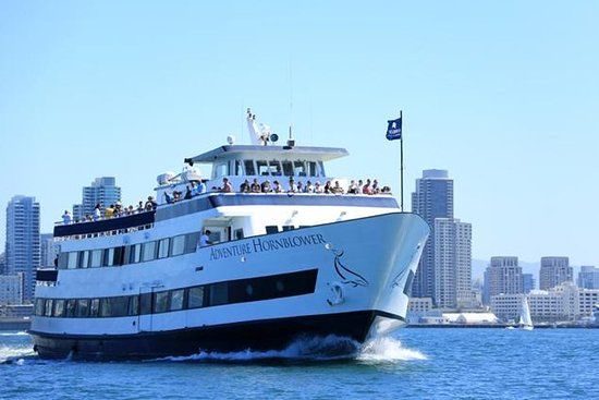 San Diego Bay Cruise