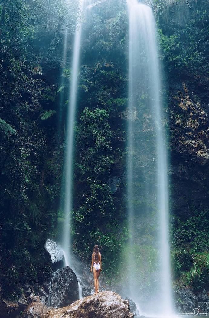 Springbrook National Park