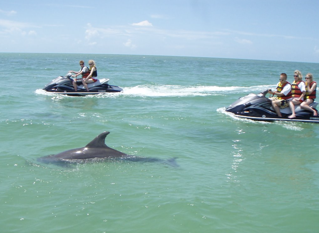 Crab Island in Dastin