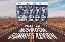 mashroom for road trip